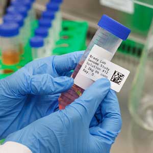 لیبل آزمایشگاهی